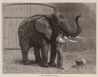 Wanderings in the Zoo